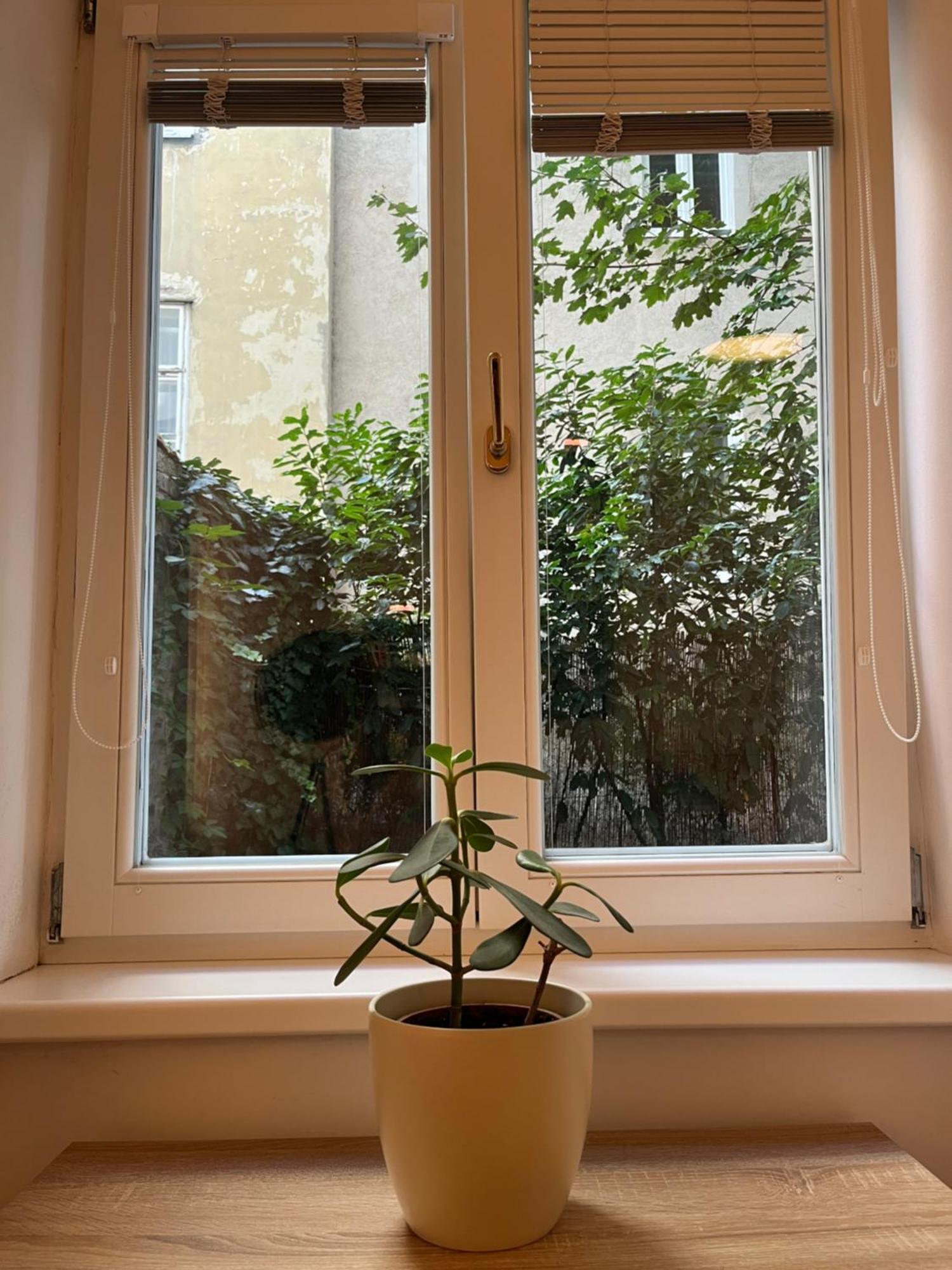 Quiet Apartment Next To Belvedere & Central Station Wiedeń Zewnętrze zdjęcie